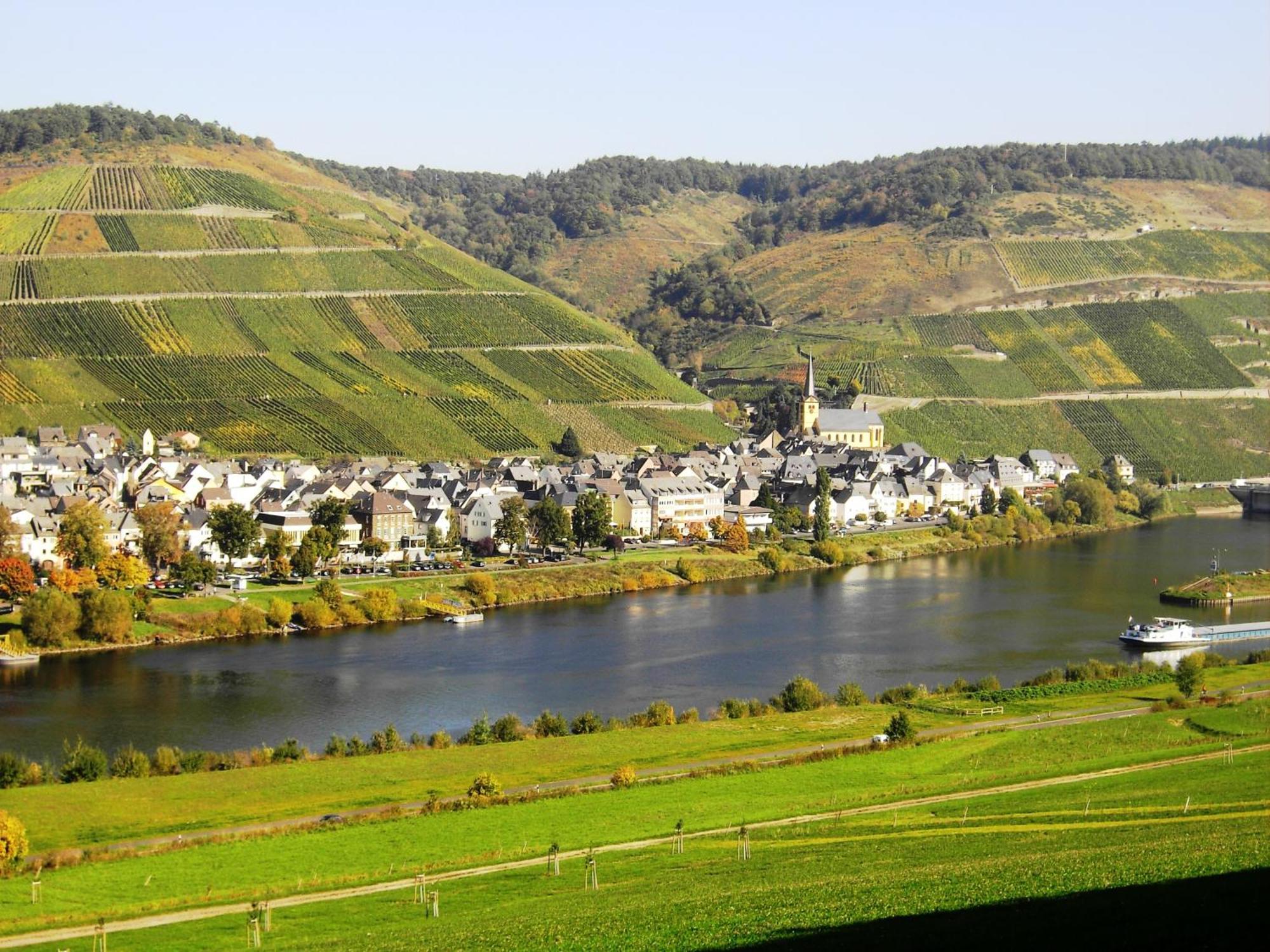 Weinstube Pension Moselbluemchen Zeltingen-Rachtig Exterior foto