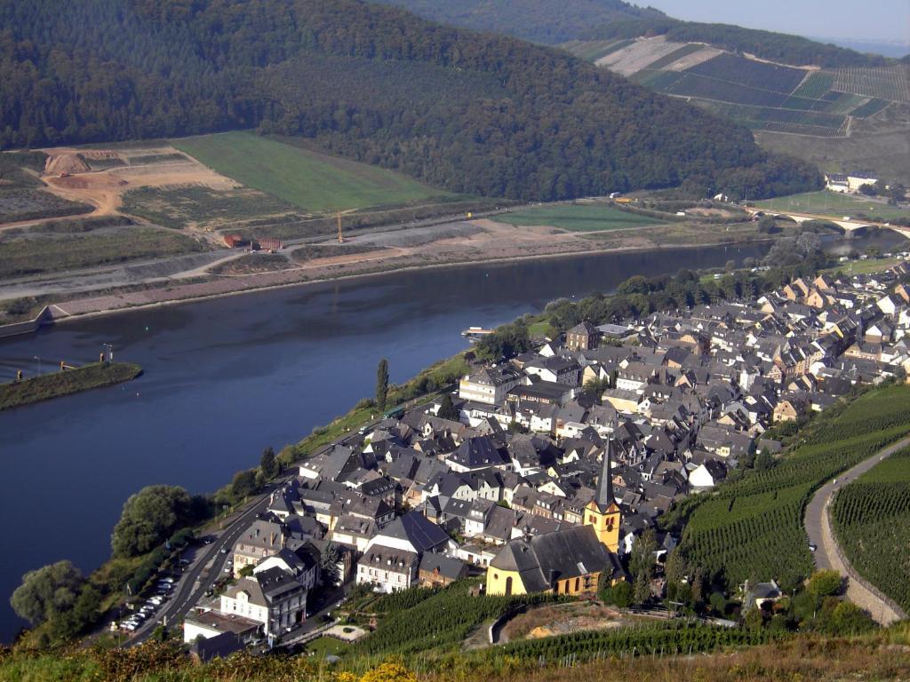 Weinstube Pension Moselbluemchen Zeltingen-Rachtig Exterior foto