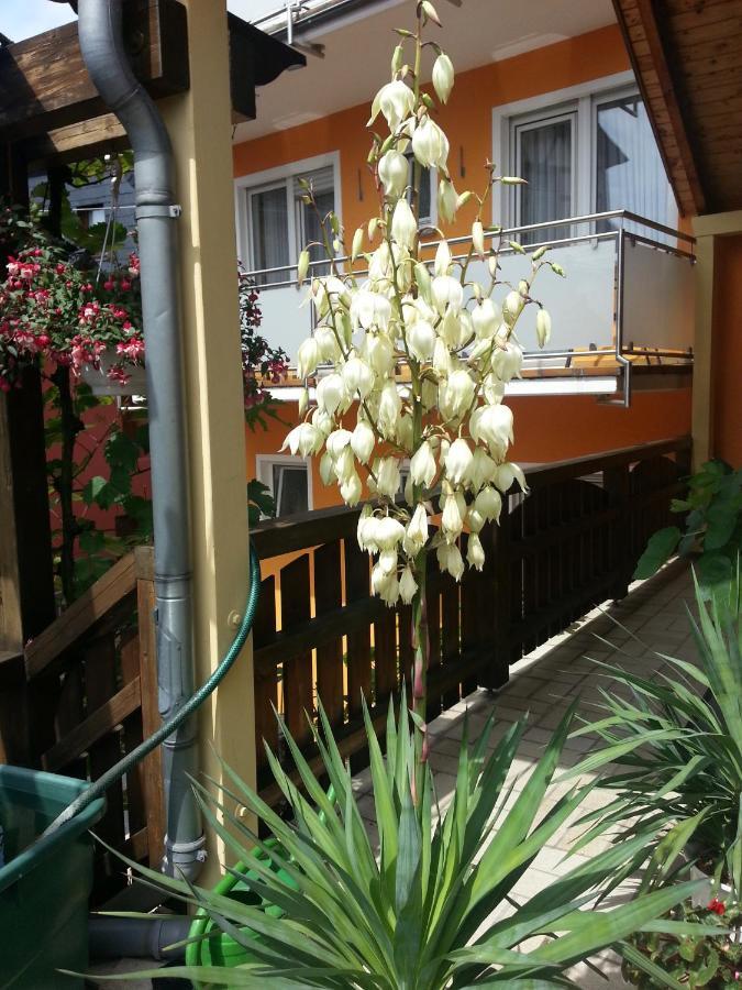 Weinstube Pension Moselbluemchen Zeltingen-Rachtig Exterior foto